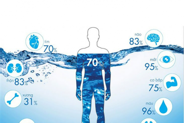 Lượng nước trong cơ thể con người